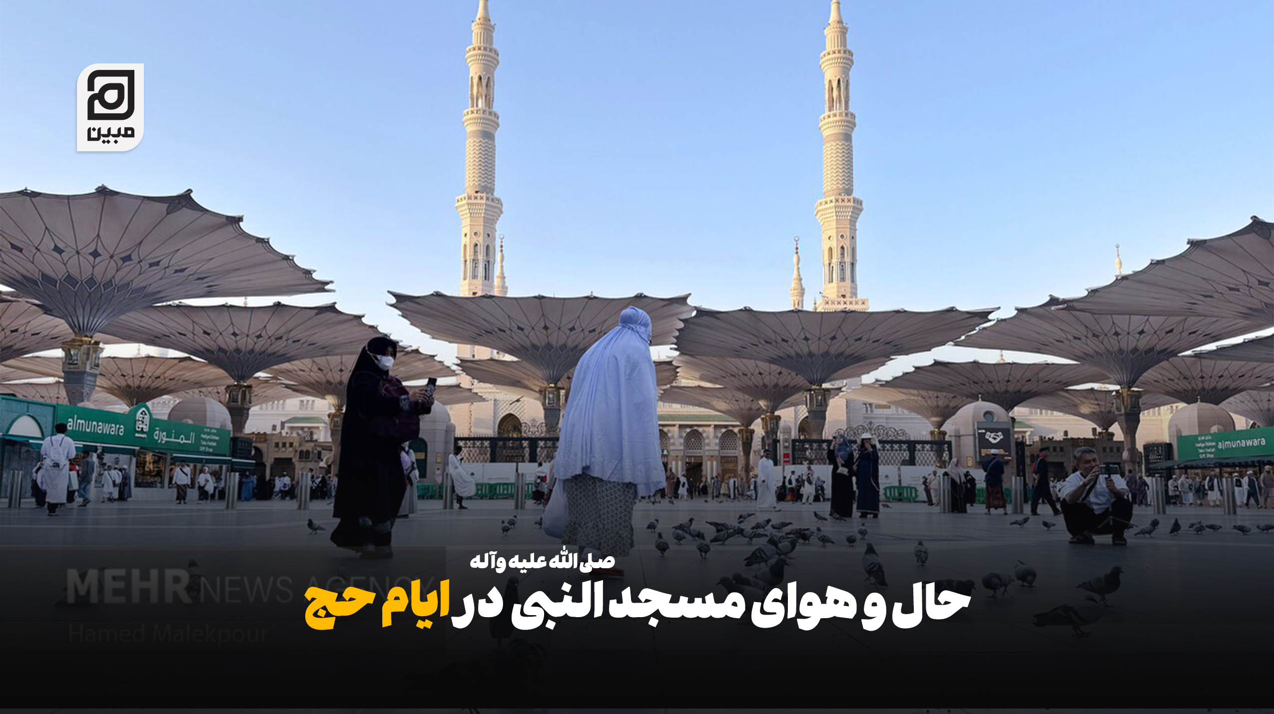 حال و هوای مسجد النبی صلی الله علیه وآله در ایام حج